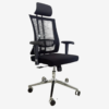 Orthopedic Chair