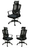 egornomic chair